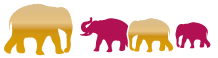 Groupe d'éléphants dorés et roses - ensemble