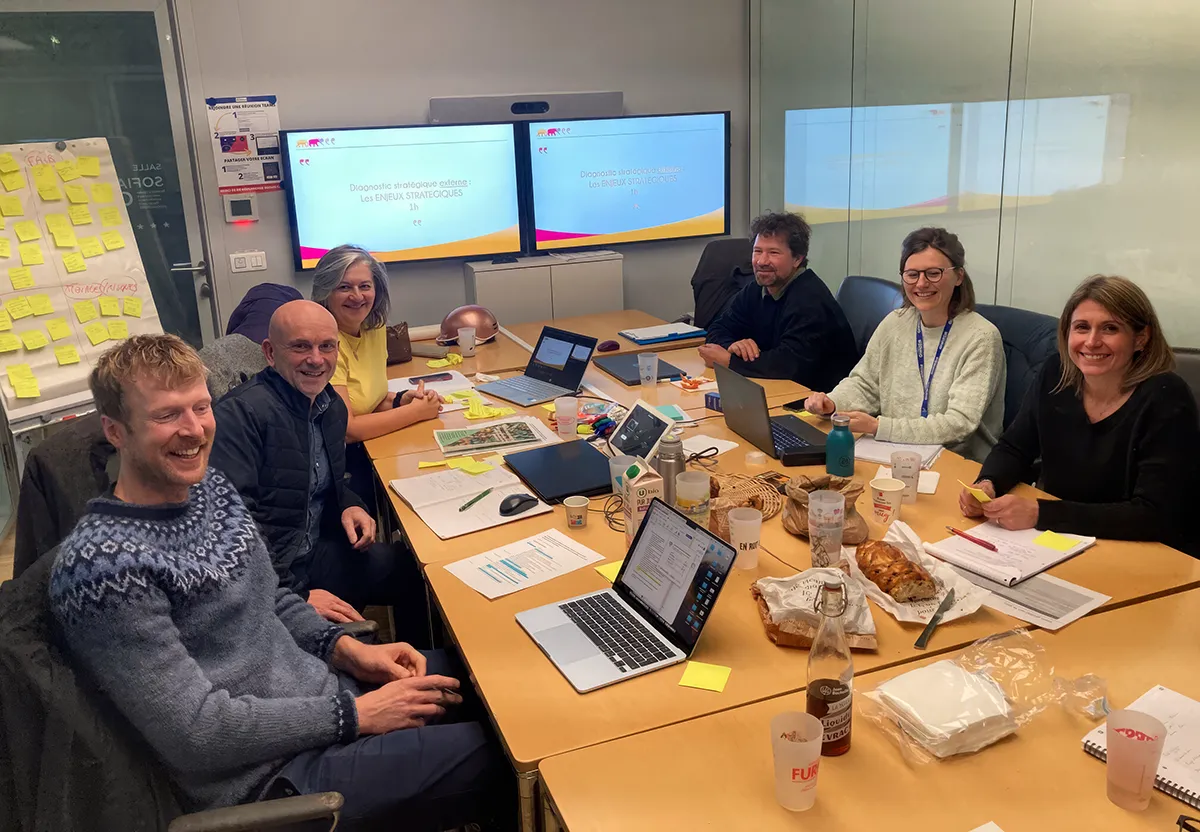 conseil-sens-coaching-strasbourg